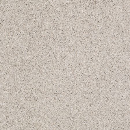 Shaw Floors Foundations Always Ready I Balanced Beige