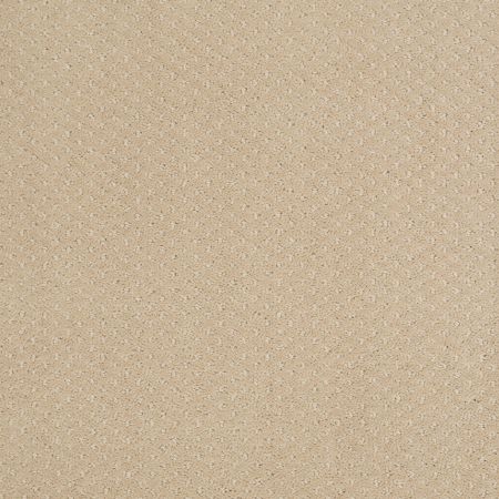 Shaw Floors Foundations Infallible Instinct Soft Honey