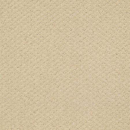 Shaw Floors Foundations Infallible Instinct Boutique