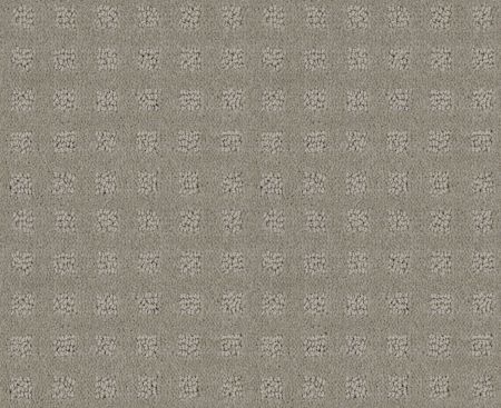 Shaw Floors Foundations Alluring Disposition Lady In Gray