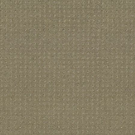 Shaw Floors Foundations Alluring Disposition Mocha
