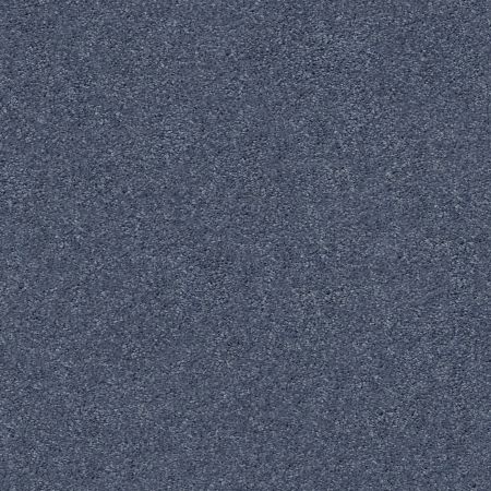 Shaw Floors Foundations Keen Senses II Net Royal Navy