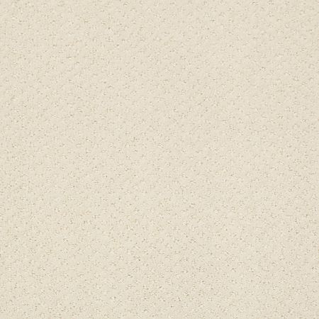 Shaw Floors Foundations Infallible Instinct Net Alabaster