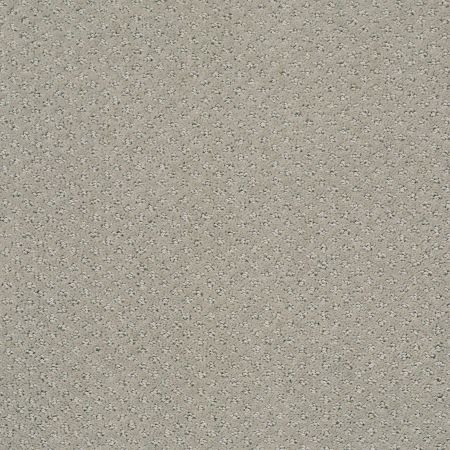 Shaw Floors Foundations Infallible Instinct Net Silhouette