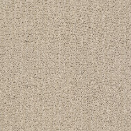 Shaw Floors Foundations Complete Control Net Studio Taupe