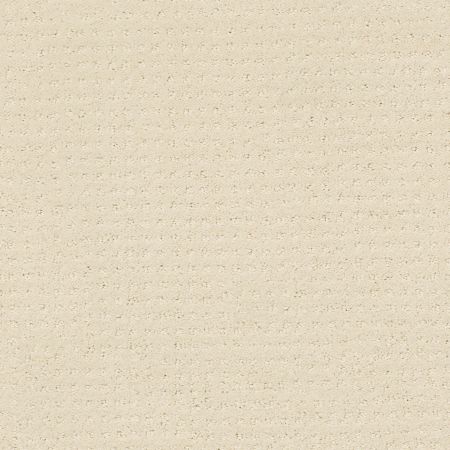 Shaw Floors Foundations Perpetual Move Net Ivory Paper