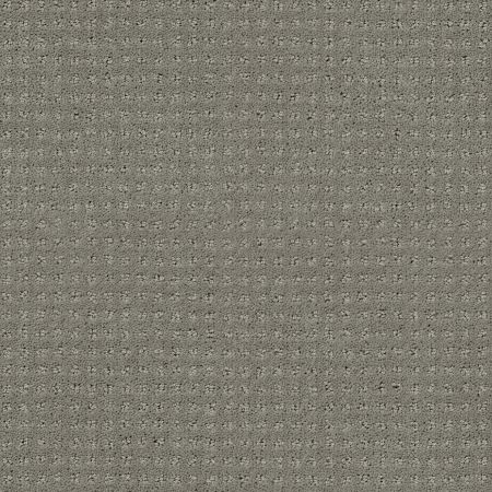 Shaw Floors Foundations Perpetual Move Net Slate