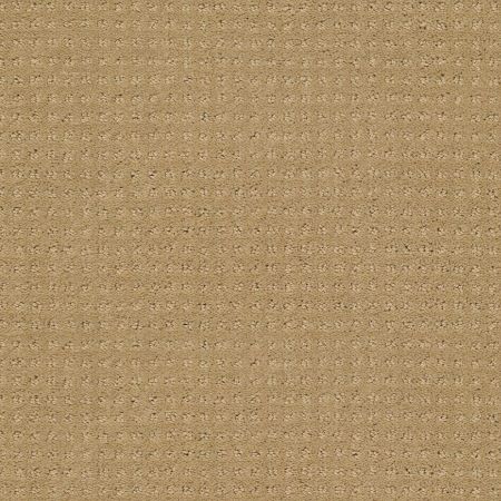 Shaw Floors Foundations Perpetual Move Net Warmth