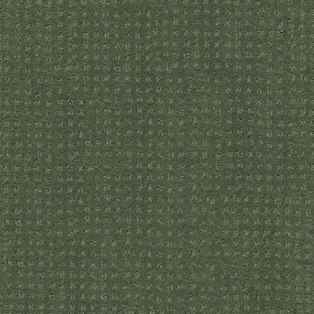 Shaw Floors Foundations Alluring Disposition Net Lush Garden