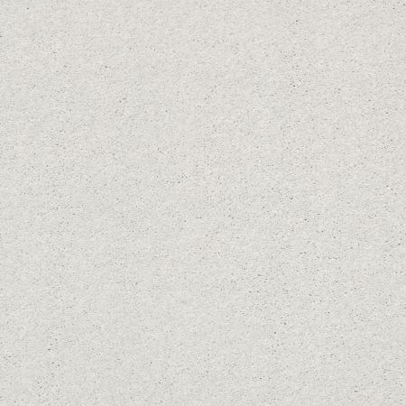 Shaw Floors Pet Perfect Plus Basic Rules Net Mist