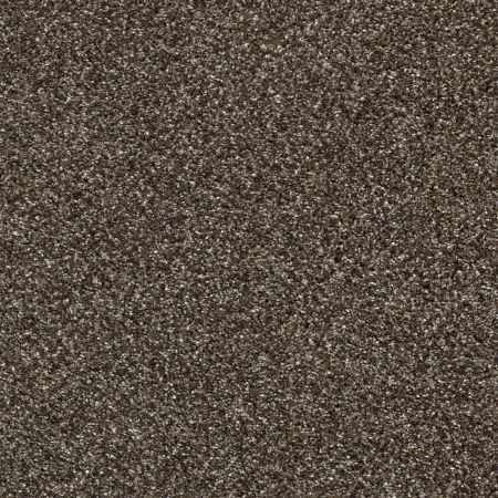 Shaw Floors Pet Perfect Plus Perpetual II Net Oatmeal