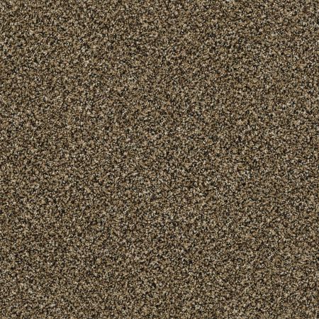 Shaw Floors Pet Perfect Plus Perpetual II Net Gold Rush
