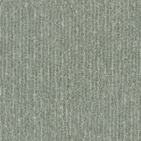 Shaw Floors Pet Perfect Plus Outside The Lines Net Sea Glass