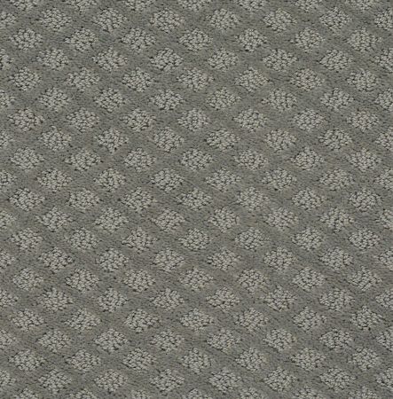 Shaw Floors Foundations Entwined With You Net Metal