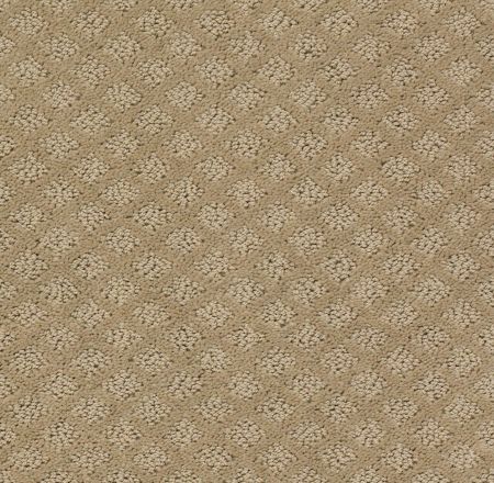 Shaw Floors Foundations Entwined With You Net Biscotti