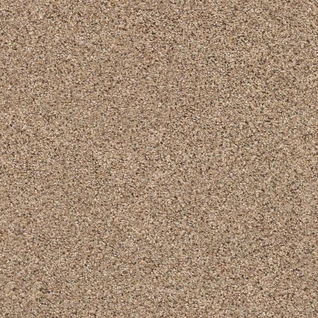 Shaw Floors Value Collections Connect V Arrowhead