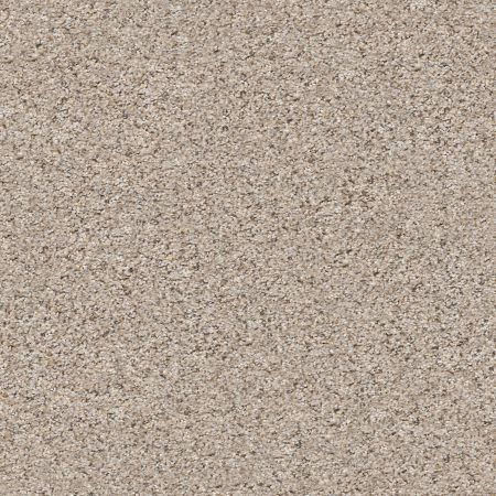 Shaw Floors Value Collections Nature Path Net Pencil Sketch