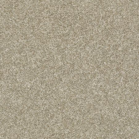 Shaw Floors Simply The Best All Over It II Latte