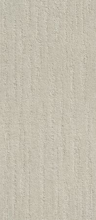 Shaw Floors Simply The Best All The Way Birch
