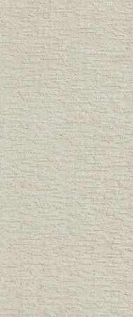 Shaw Floors Simply The Best All In One Soho