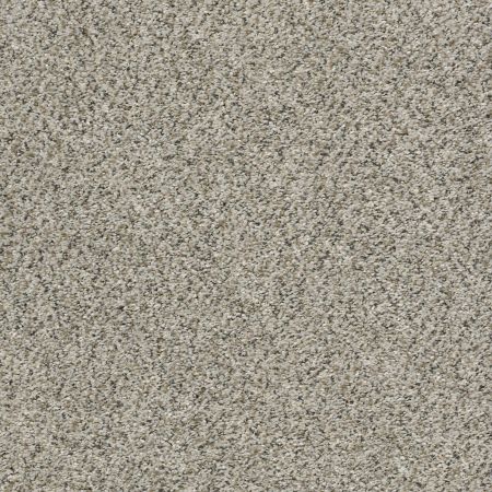 Shaw Floors Simply The Best All Set I Silversmith