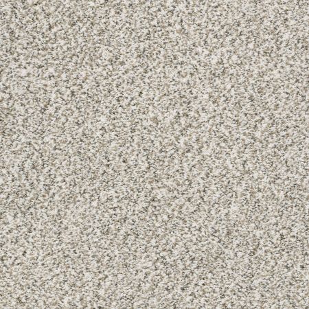 Shaw Floors Simply The Best All Set II Quartz