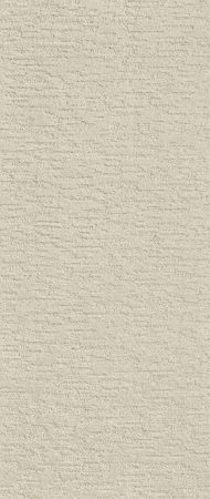Shaw Floors Simply The Best All In One Net Stucco
