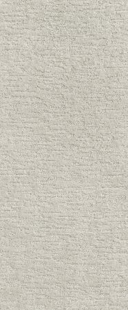 Shaw Floors Simply The Best All In One Net Cloudy Gray