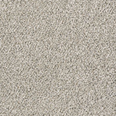 Shaw Floors Value Collections Marks The Spot II Smoky Gray