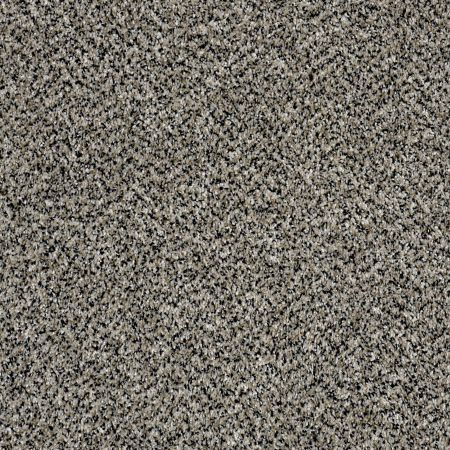 Shaw Floors Value Collections Accents For Sure 15' Birch Tree