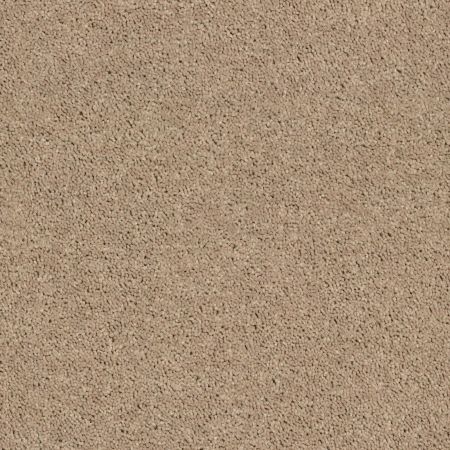 Shaw Floors Cabana Bay Solid Camel