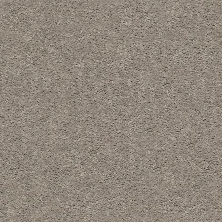 Shaw Floors Cabana Bay Solid Perfect Taupe