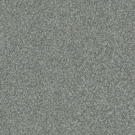 Shaw Floors Simply The Best Attainable Arctic Shadow