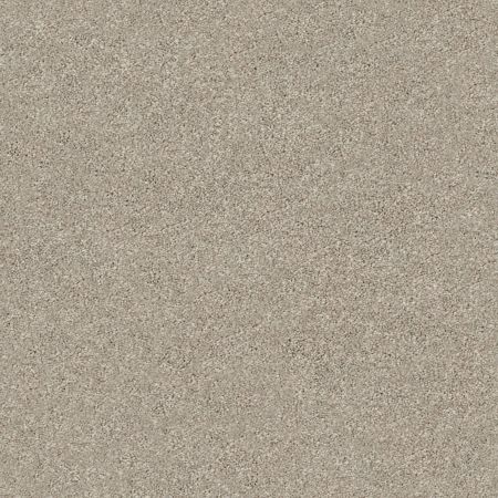 Shaw Floors Simply The Best Momentum I Driftwood