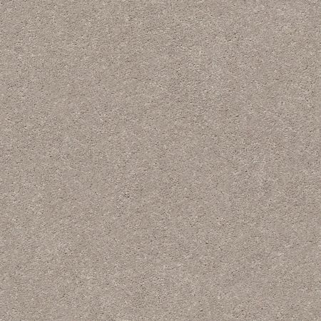 Shaw Floors Simply The Best Momentum II Boutique