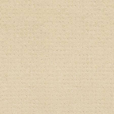 Shaw Floors SFA Unity Iv Winter White