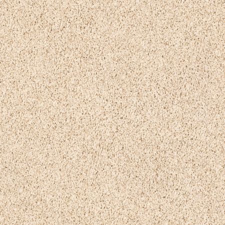 Shaw Floors SFA Weatherford Putty