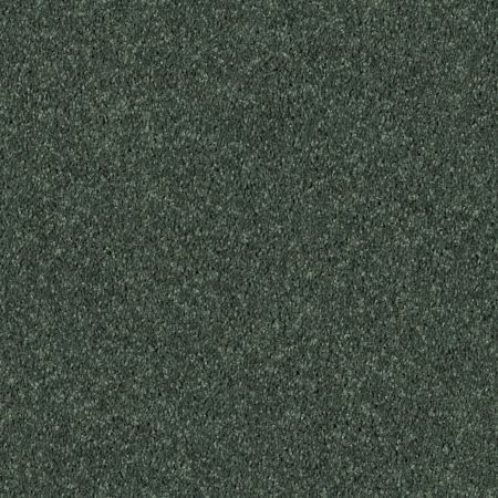 Shaw Floors SFA Drexel Hill II 12' Going Green