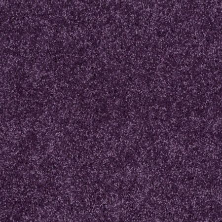Shaw Floors SFA Drexel Hill II 12' Grape Slushy