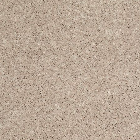 Shaw Floors SFA Drexel Hill III 12' Flax Seed