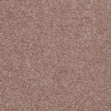 Shaw Floors SFA Drexel Hill III 15 Tassel