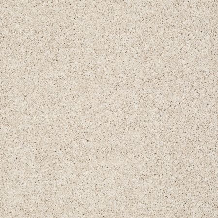 Shaw Floors Anso Colorwall Designer Twist Gold (s) Dunes