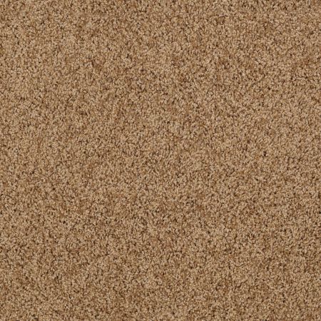 Shaw Floors SFA Loyal Beauty III English Toffee