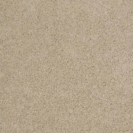 Shaw Floors SFA Source Frost