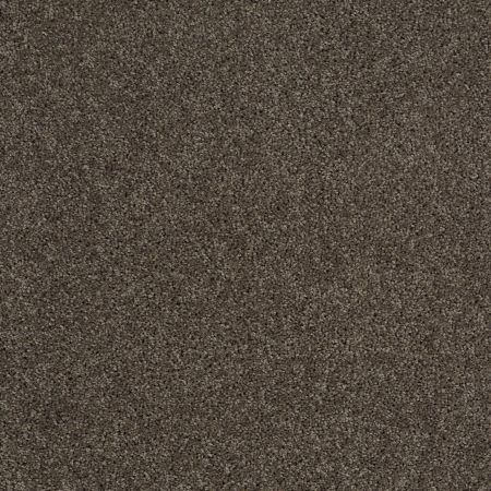 Shaw Floors SFA Source Graphite