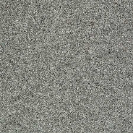 Shaw Floors SFA My Inspiration I Charcoal