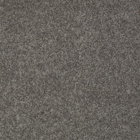 Shaw Floors SFA My Inspiration II Graphite