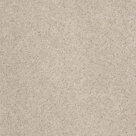 Shaw Floors SFA Source II Fossil