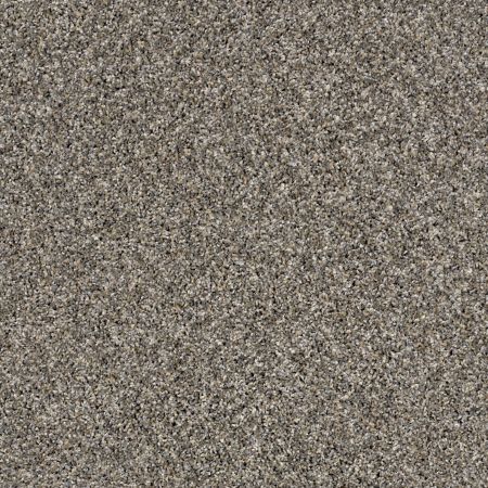 Shaw Floors Simply The Best Nature Essence Goose Feather