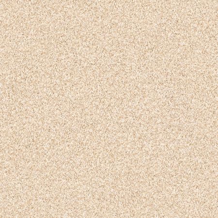 Shaw Floors Foundations Exploration Frosted Honey